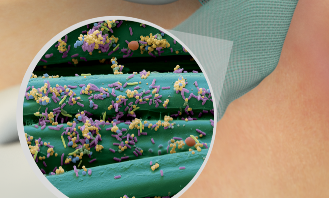 illustration showing skin, Sorbact Ribbon Gauze and a microscopic image with microbes on a Sorbact surface